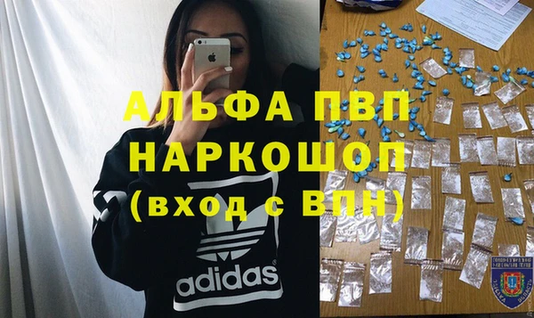 сатива Баксан