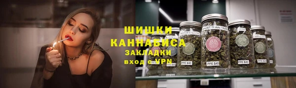 сатива Баксан