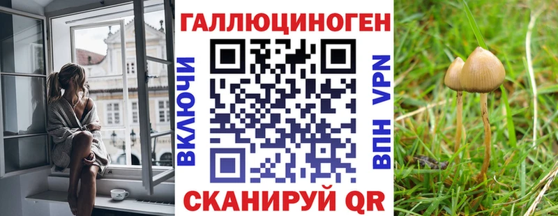 Псилоцибиновые грибы мицелий  mega   Верея 
