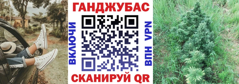 Каннабис OG Kush  Верея 